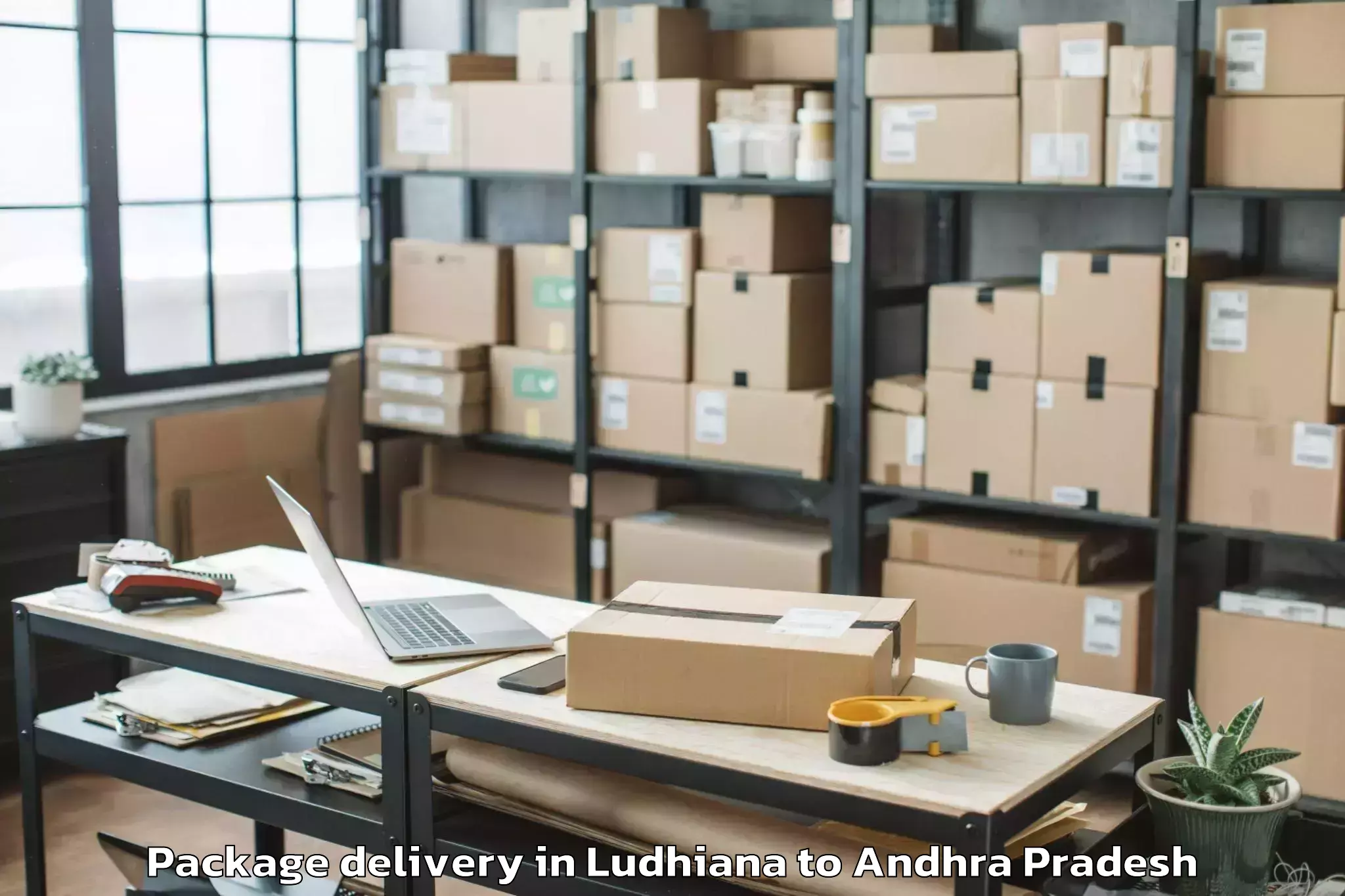 Easy Ludhiana to Valetivari Palem Package Delivery Booking